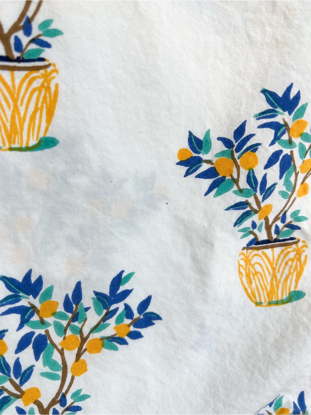 Printfresh Citrus Plant Button Up Short Sleeve Top - Picture 3 of 6
